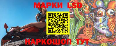 Альфа ПВП Краснознаменск
