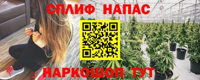 Альфа ПВП Краснознаменск
