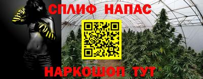 Альфа ПВП Краснознаменск