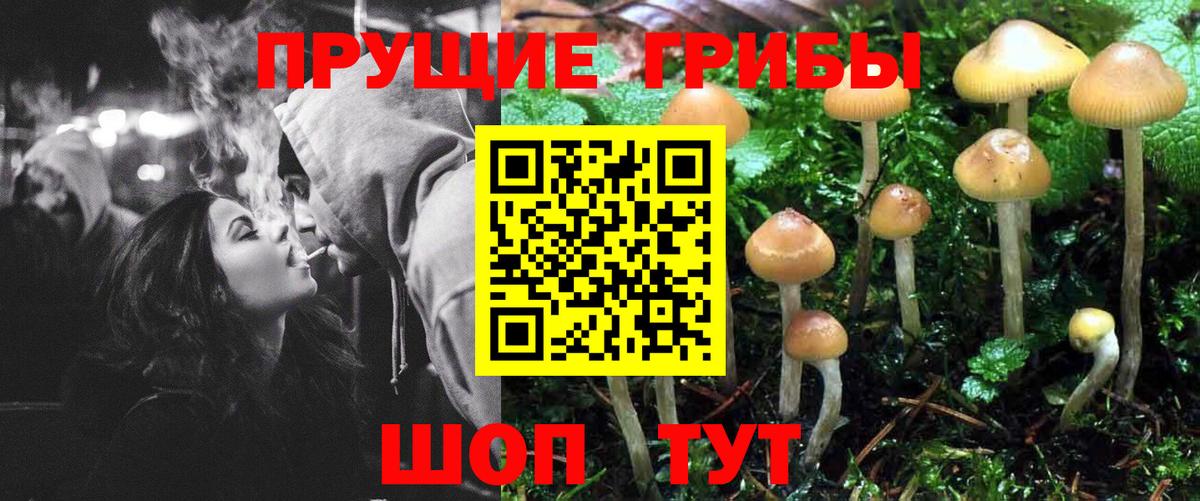 Псилоцибиновые грибы Psilocybine cubensis  Вход с VPN  Топки 